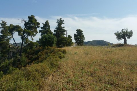 4062m² Land à Chalkidiki, Greece No. 58097 9