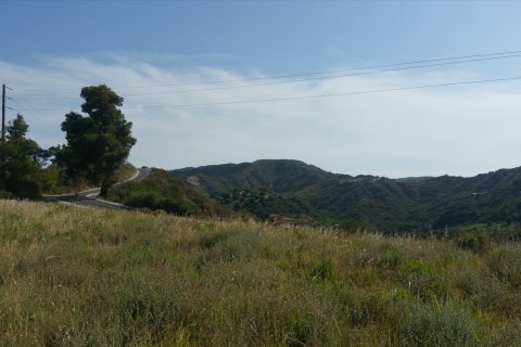 4062m² Land à Chalkidiki, Greece No. 58097 7