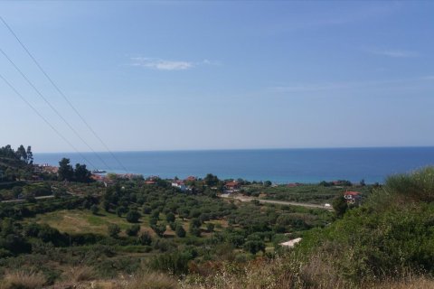 4062m² Land in Chalkidiki, Greece No. 58097 10