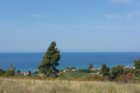 4062m² Land in Chalkidiki, Greece No. 58097 1