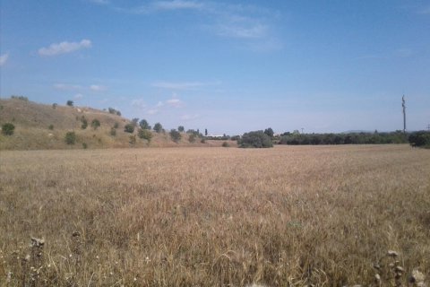 15000m² Land en Pylaia, Greece No. 58102 2