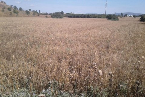 15000m² Land en Pylaia, Greece No. 58102 4