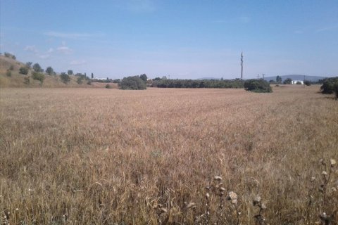 15000m² Land en Pylaia, Greece No. 58102 1