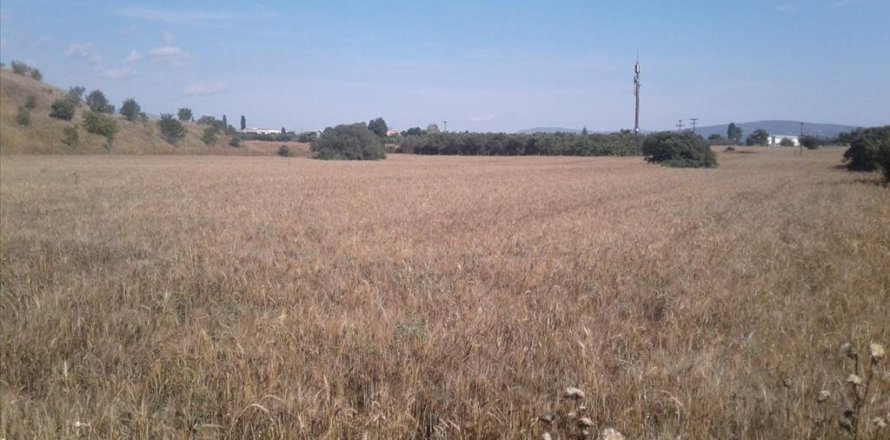 15000m² Land en Pylaia, Greece No. 58102