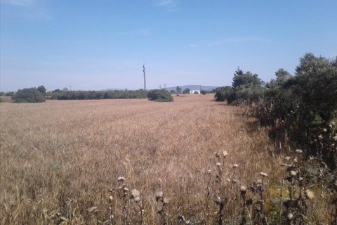 15000m² Land à Pylaia, Greece No. 58102 3