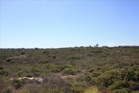 163000m² Land en Chania, Greece No. 58100 6