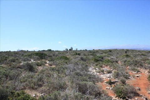 163000m² Land in Chania, Greece No. 58100 4