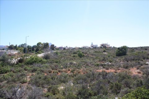 163000m² Land en Chania, Greece No. 58100 3