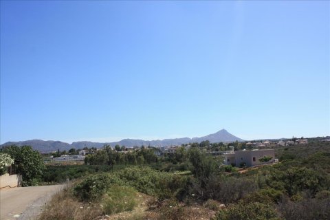 163000m² Land en Chania, Greece No. 58100 5