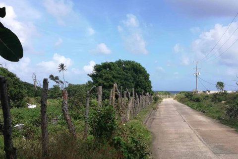 18616m² Land in Marigot, Dominica No. 66280 2