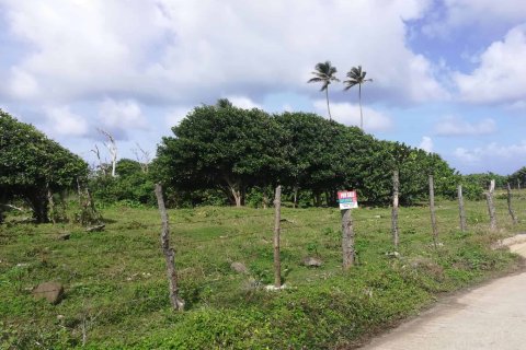 18616m² Land en Marigot, Dominica No. 66280 4