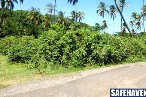 18616m² Land en Marigot, Dominica No. 66280 16