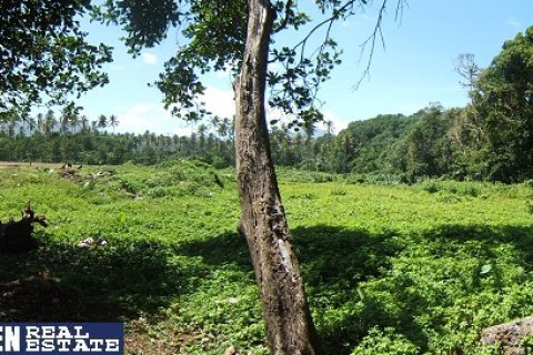 18616m² Land in Marigot, Dominica No. 66280 7