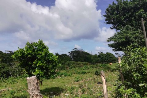 18616m² Land en Marigot, Dominica No. 66280 1