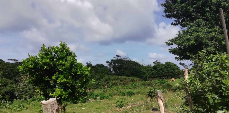 18616m² Land en Marigot, Dominica No. 66280