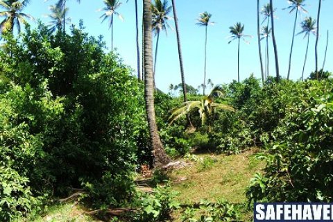 18616m² Land in Marigot, Dominica No. 66280 10