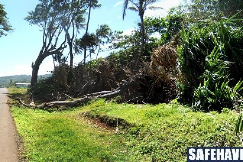 18616m² Land à Marigot, Dominica No. 66280 13