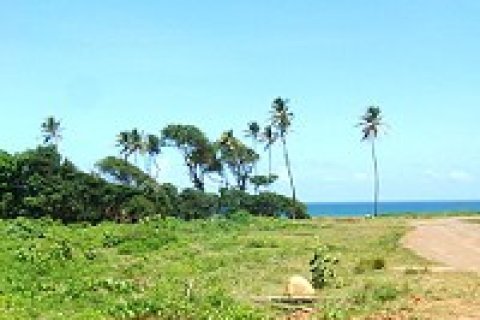 18616m² Land en Marigot, Dominica No. 66280 9