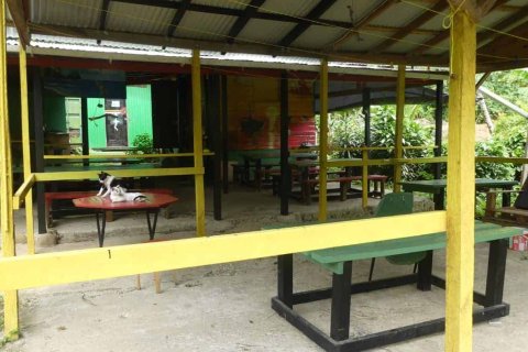 19304m² Commercial property in Rosalie, Dominica No. 66276 14