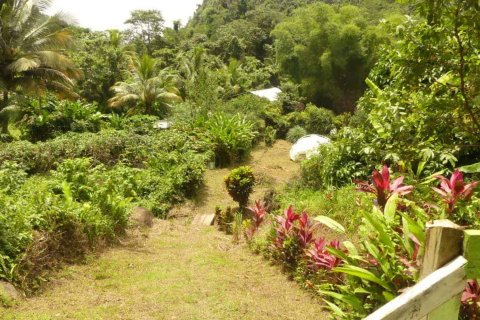 19304m² Commercial property en Rosalie, Dominica No. 66276 19