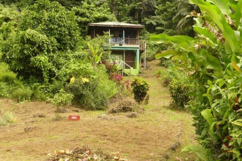 19304m² Commercial property in Rosalie, Dominica No. 66276 1