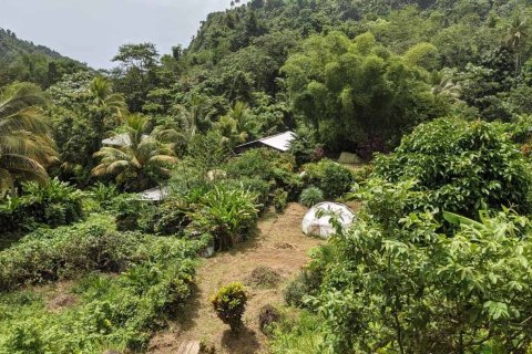 19304m² Commercial property en Rosalie, Dominica No. 66276 27