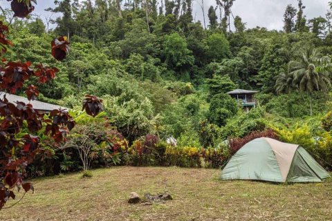 19304m² Commercial property à Rosalie, Dominica No. 66276 29