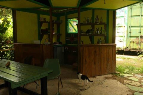 19304m² Commercial property in Rosalie, Dominica No. 66276 13