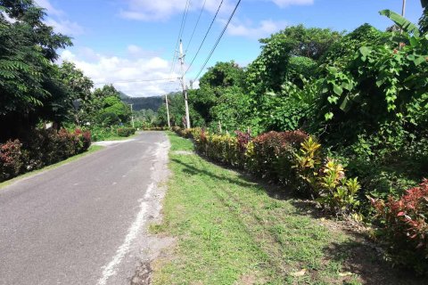 5747m² Land en La Plaine, Dominica No. 66279 1