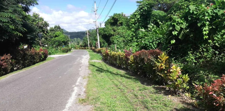 5747m² Land à La Plaine, Dominica No. 66279