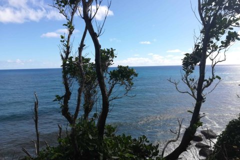 5747m² Land in La Plaine, Dominica No. 66279 4