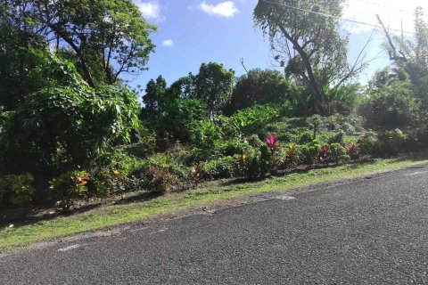 5747m² Land en La Plaine, Dominica No. 66279 9