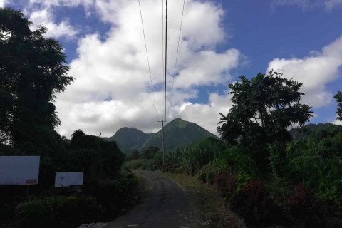 5747m² Land à La Plaine, Dominica No. 66279 10