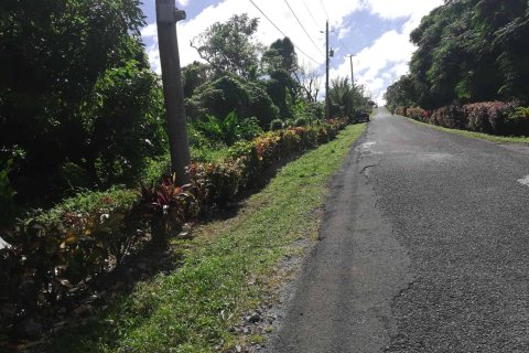 5747m² Land in La Plaine, Dominica No. 66279 3