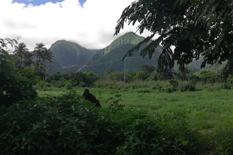 5747m² Land en La Plaine, Dominica No. 66279 11