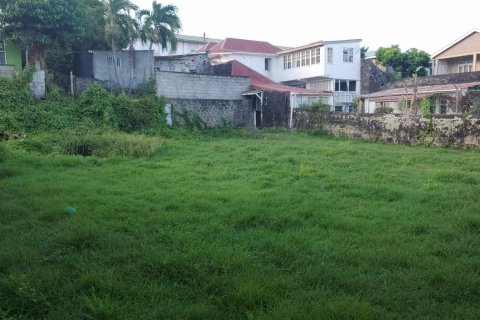 5 dormitorios House en Roseau, Dominica No. 66275 19