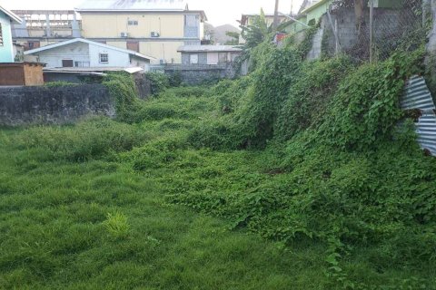 5 chambres House à Roseau, Dominica No. 66275 16