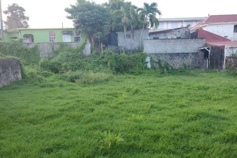 5 dormitorios House en Roseau, Dominica No. 66275 15