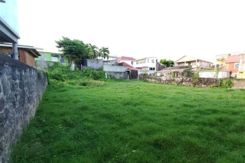 5 chambres House à Roseau, Dominica No. 66275 20