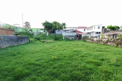 5 dormitorios House en Roseau, Dominica No. 66275 18