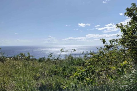 80937m² Land en Saint Joseph, Dominica No. 66274 13