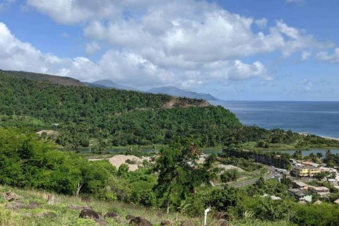 80937m² Land in Saint Joseph, Dominica No. 66274 1