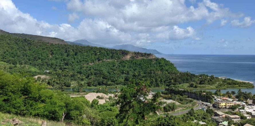 80937m² Land in Saint Joseph, Dominica No. 66274