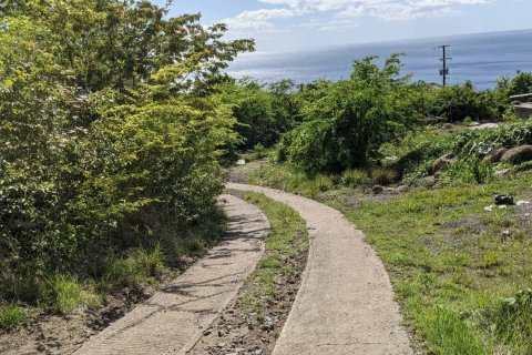 80937m² Land in Saint Joseph, Dominica No. 66274 12