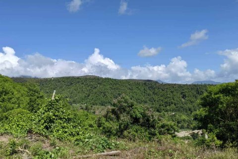 80937m² Land en Saint Joseph, Dominica No. 66274 7