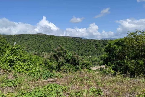 80937m² Land in Saint Joseph, Dominica No. 66274 6