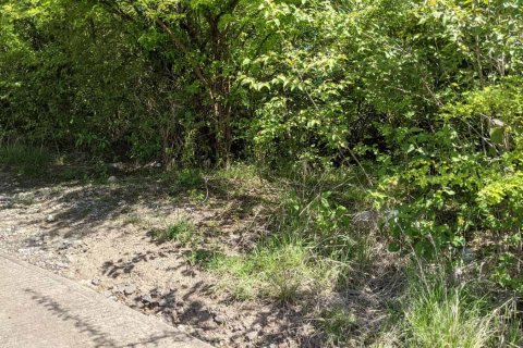 80937m² Land en Saint Joseph, Dominica No. 66274 10