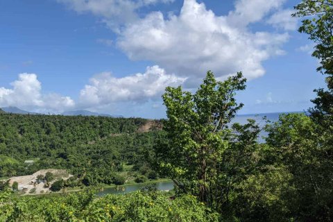 80937m² Land in Saint Joseph, Dominica No. 66274 5