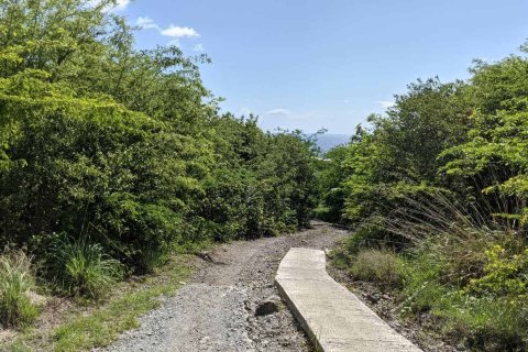 80937m² Land in Saint Joseph, Dominica No. 66274 9