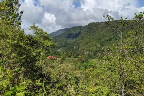 80937m² Land in Saint Joseph, Dominica No. 66274 15